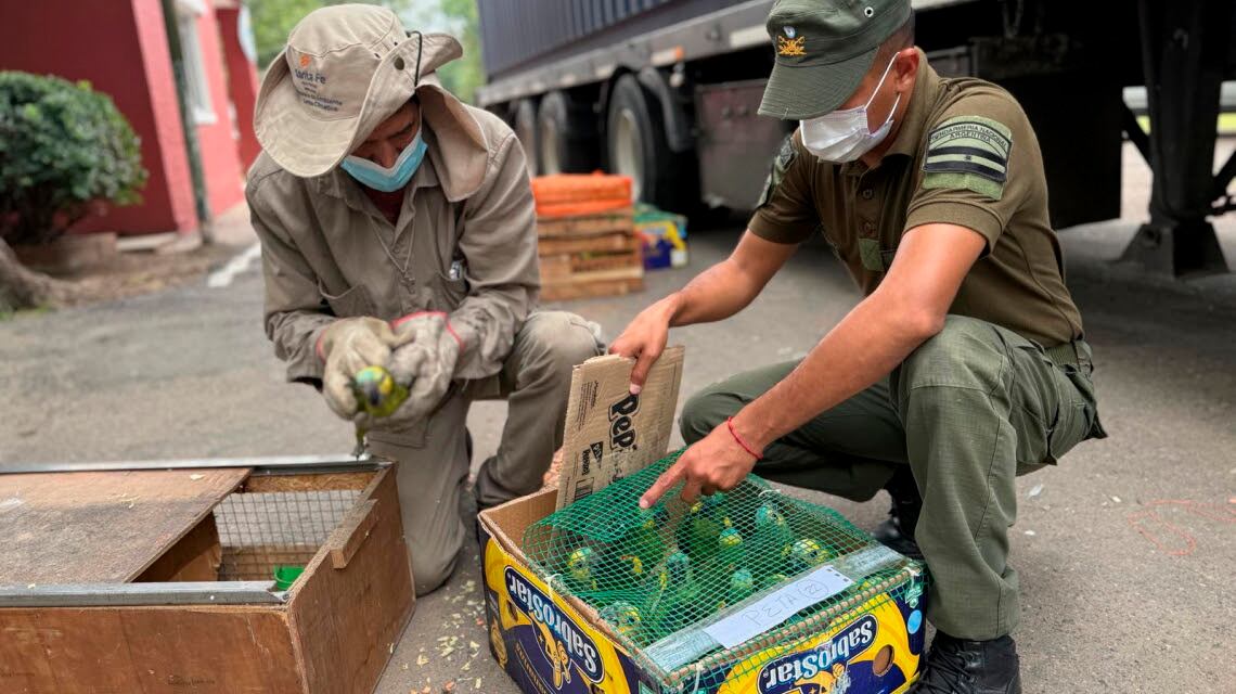 rescate de animales en santa fe