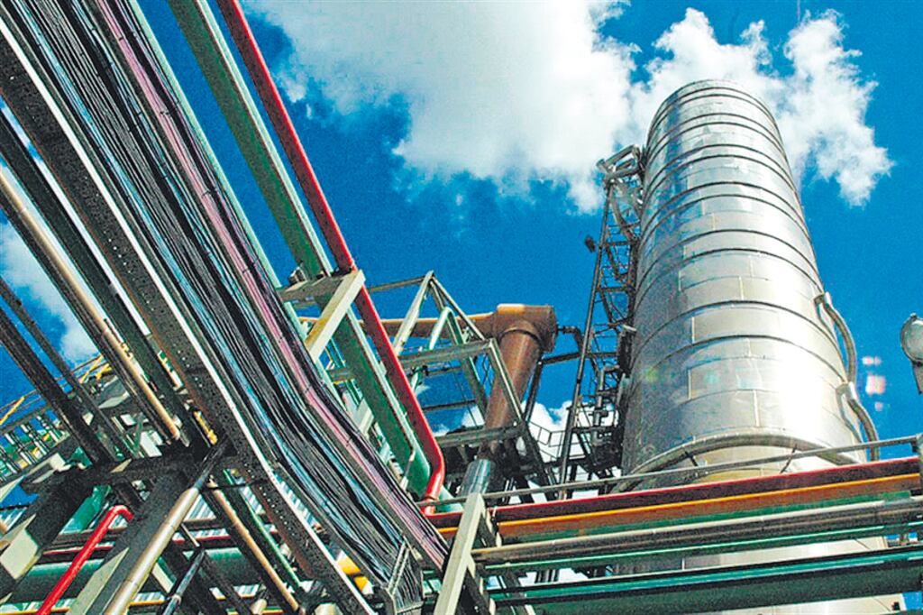 La expectativa del sector para este año era concretar exportaciones por 1250 millones de dólares.