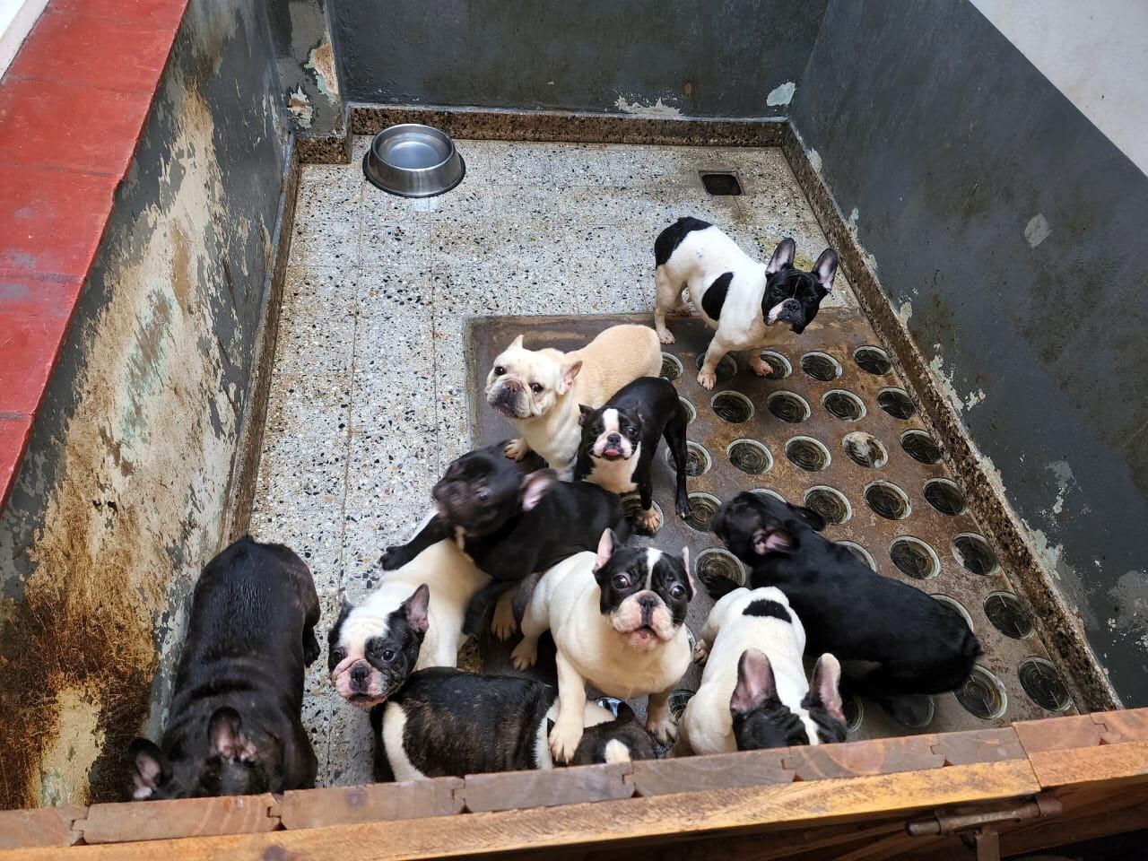 Las autoridades verificaron la denuncia e identificaron a dos hombres responsables del lugar. Foto: MPF CABA.