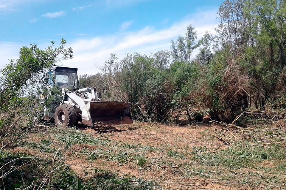 Parte de la maquinaria que la ong registró en las islas en el arroyo Careaga.