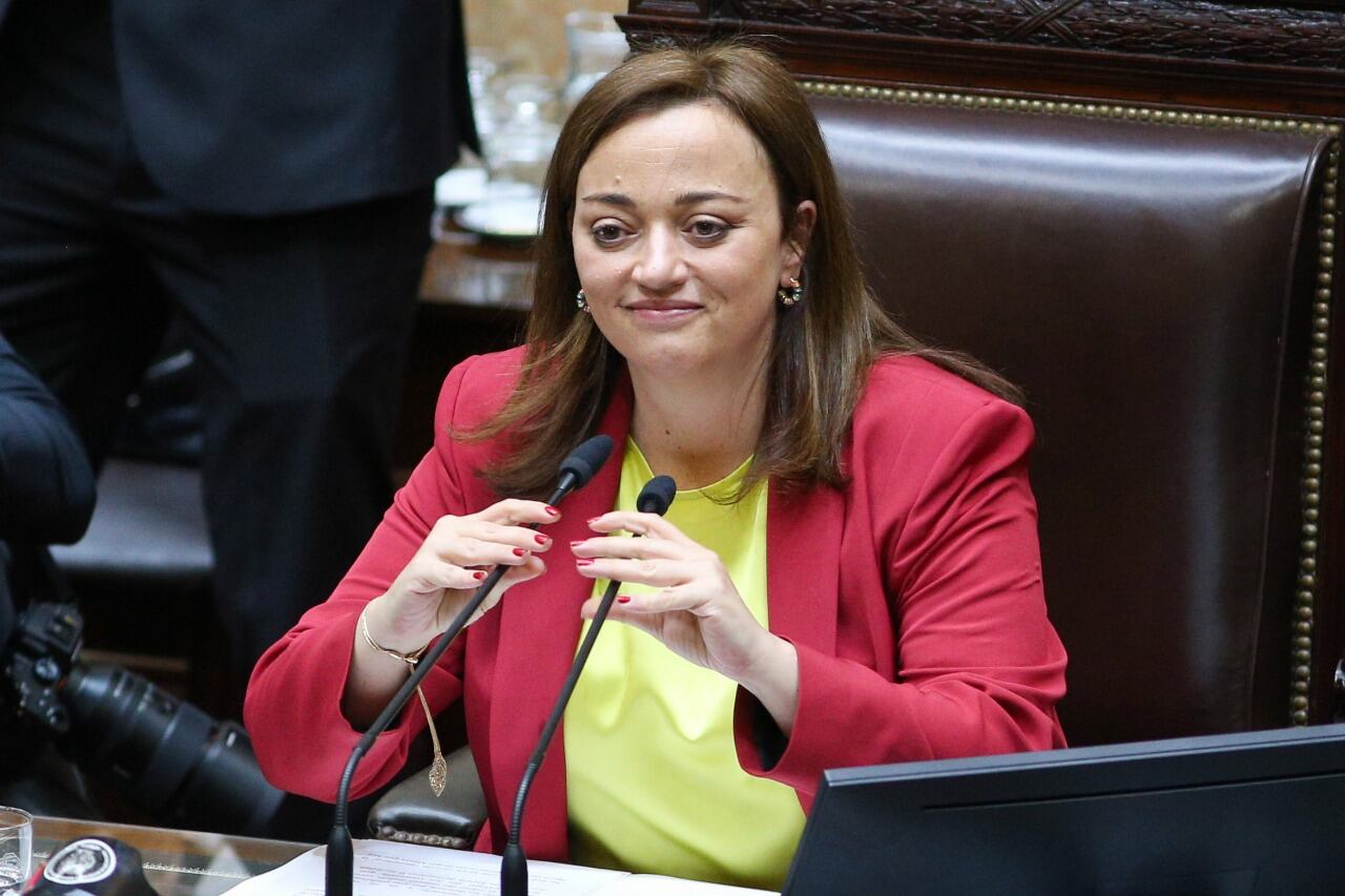 La presidenta de la Cámara de Diputados, Cecilia Moreau.
