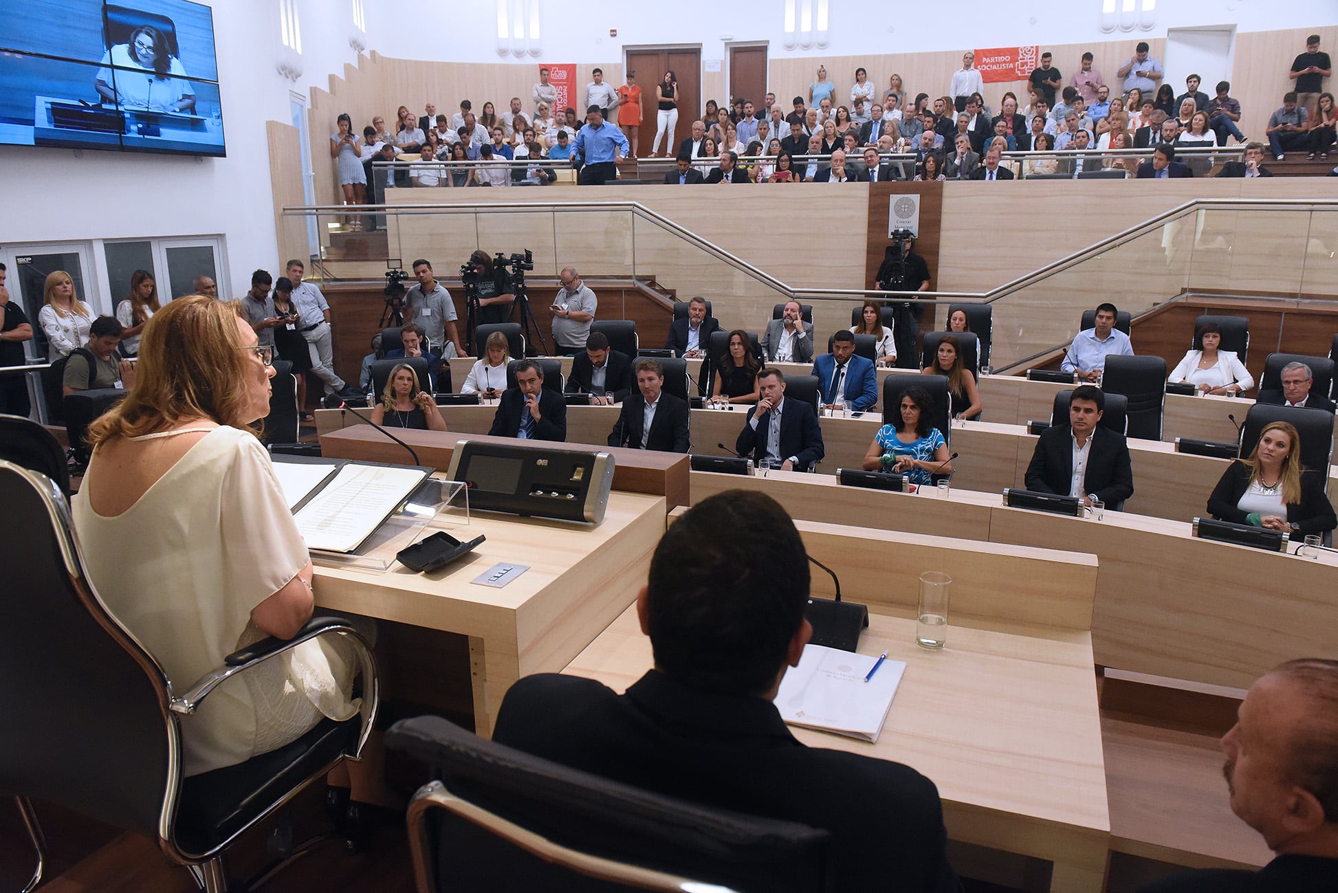 Fein dio su séptimo discurso de apertura en el ahora renovado Concejo.