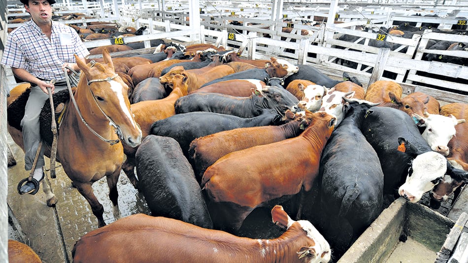 El traslado del Mercado de Hacienda de Liniers estaba previsto desde 2001, cuando se prohibió el ingreso de ganado en pie a la Ciudad.