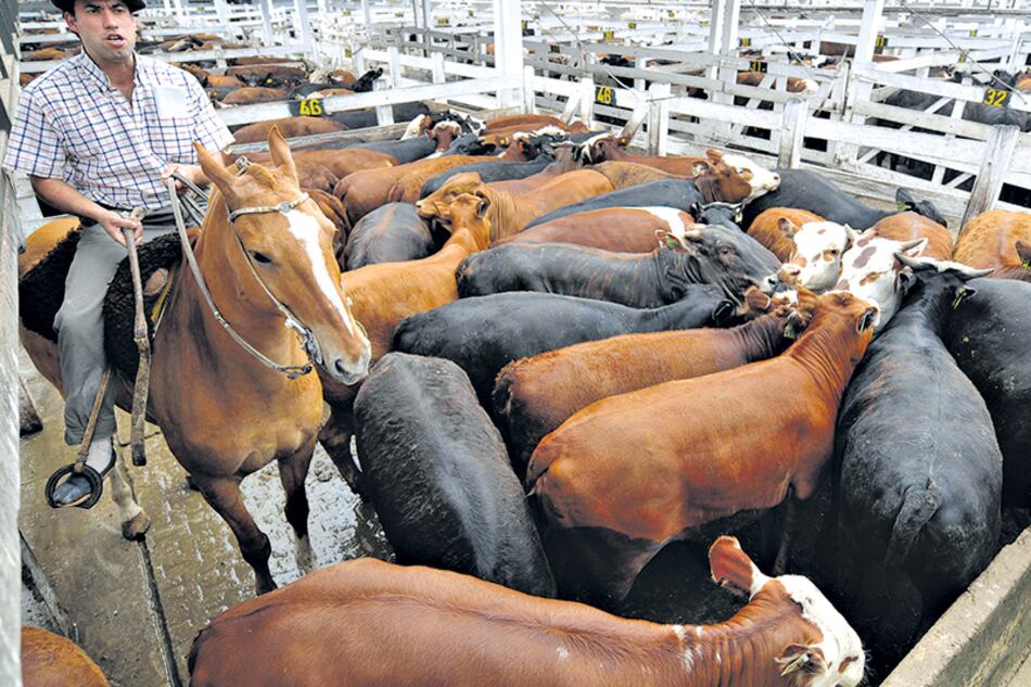 El traslado del Mercado de Hacienda de Liniers estaba previsto desde 2001, cuando se prohibió el ingreso de ganado en pie a la Ciudad.