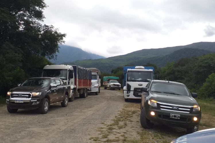 Los camiones que transportan la mercadería, llegando a Los Toldos