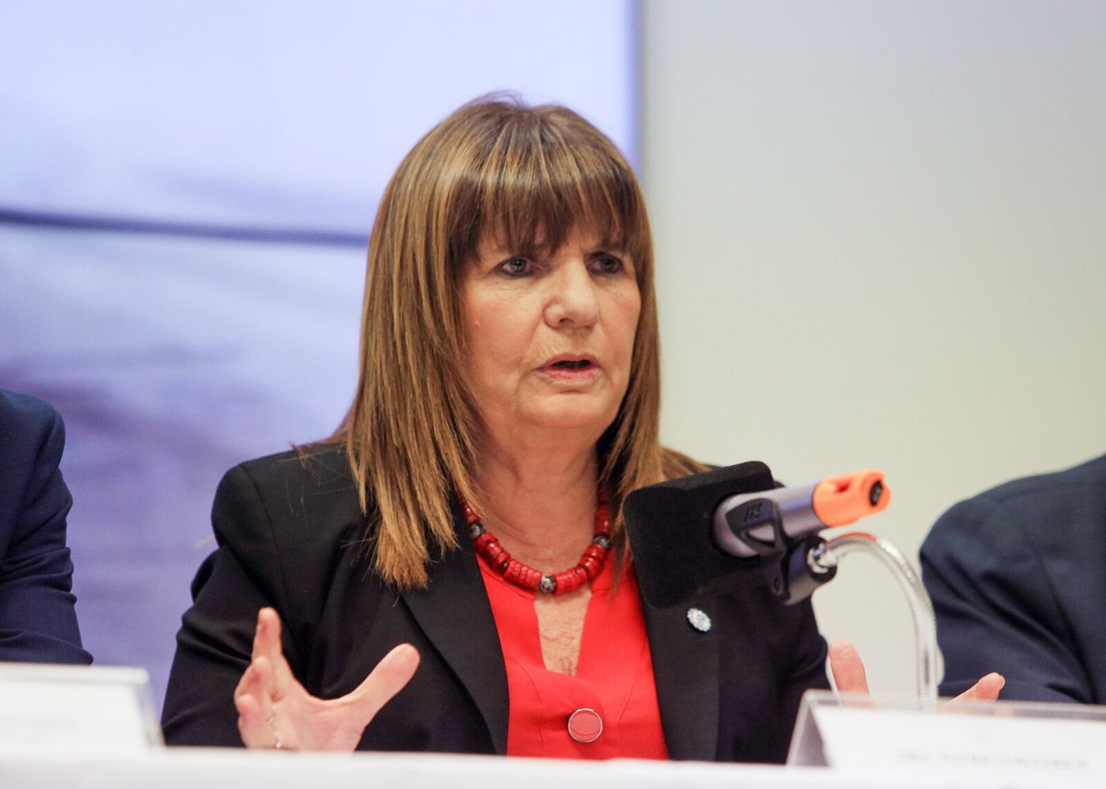 Patricia Bullrich enfrenta múltiples denuncias judiciales.