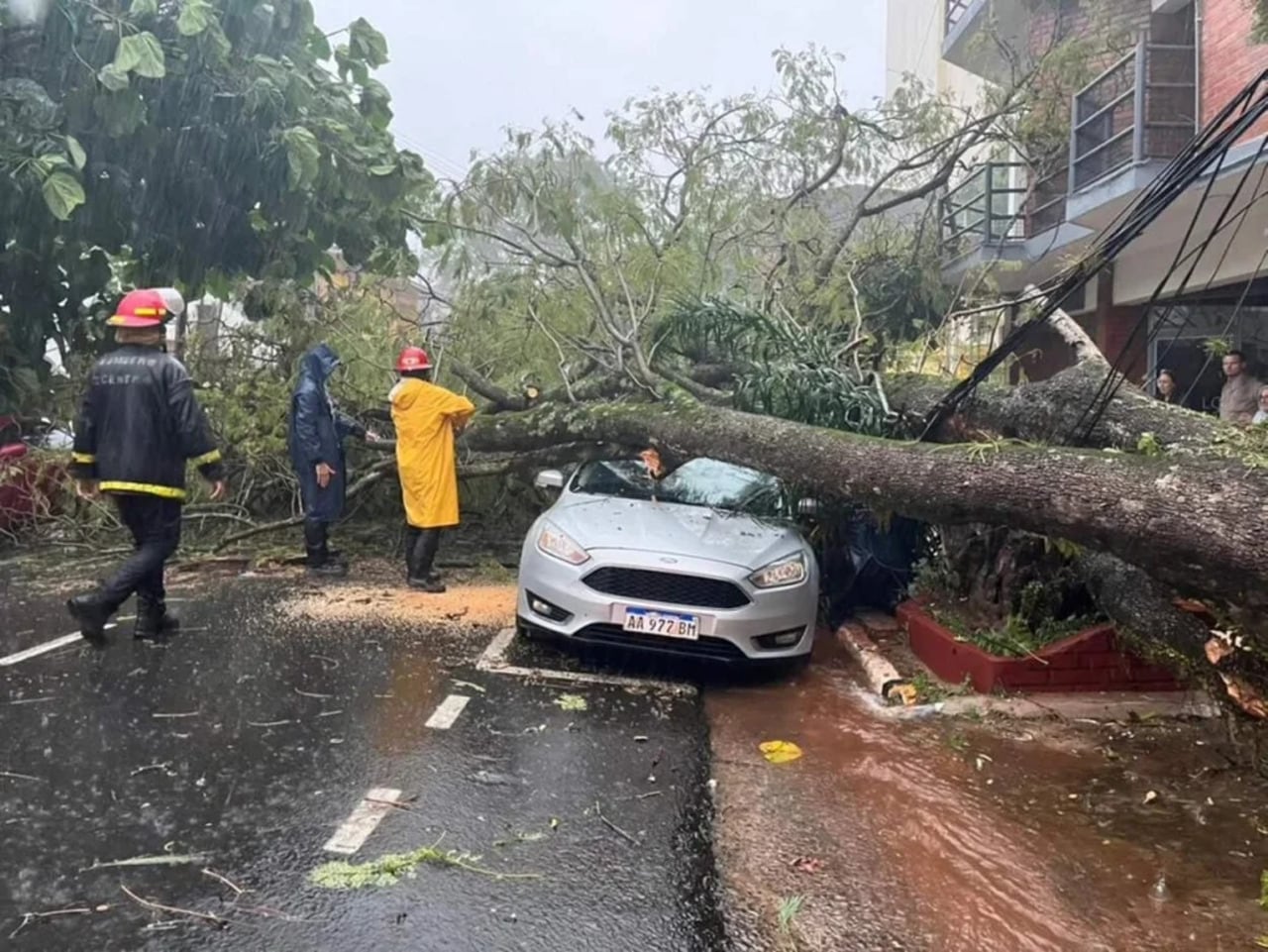 Hubo caída de árboles por el temporal.