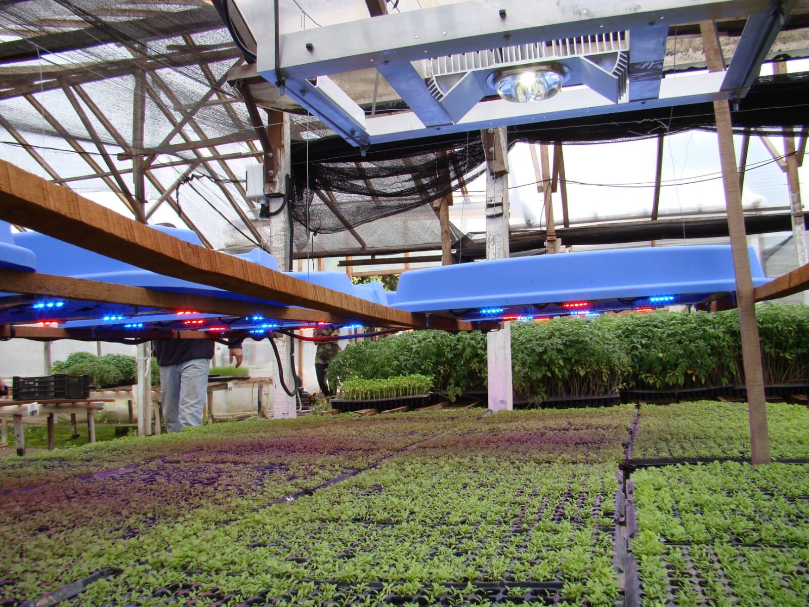 El proyecto de "Irradiación led en horticultura dinámica" a cargo de Pablo Ixtaina.