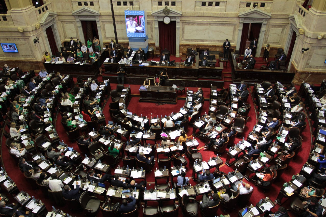 En las elecciones 2021 hay numerosos diputados y senadores que intentarán renovar sus bancas.