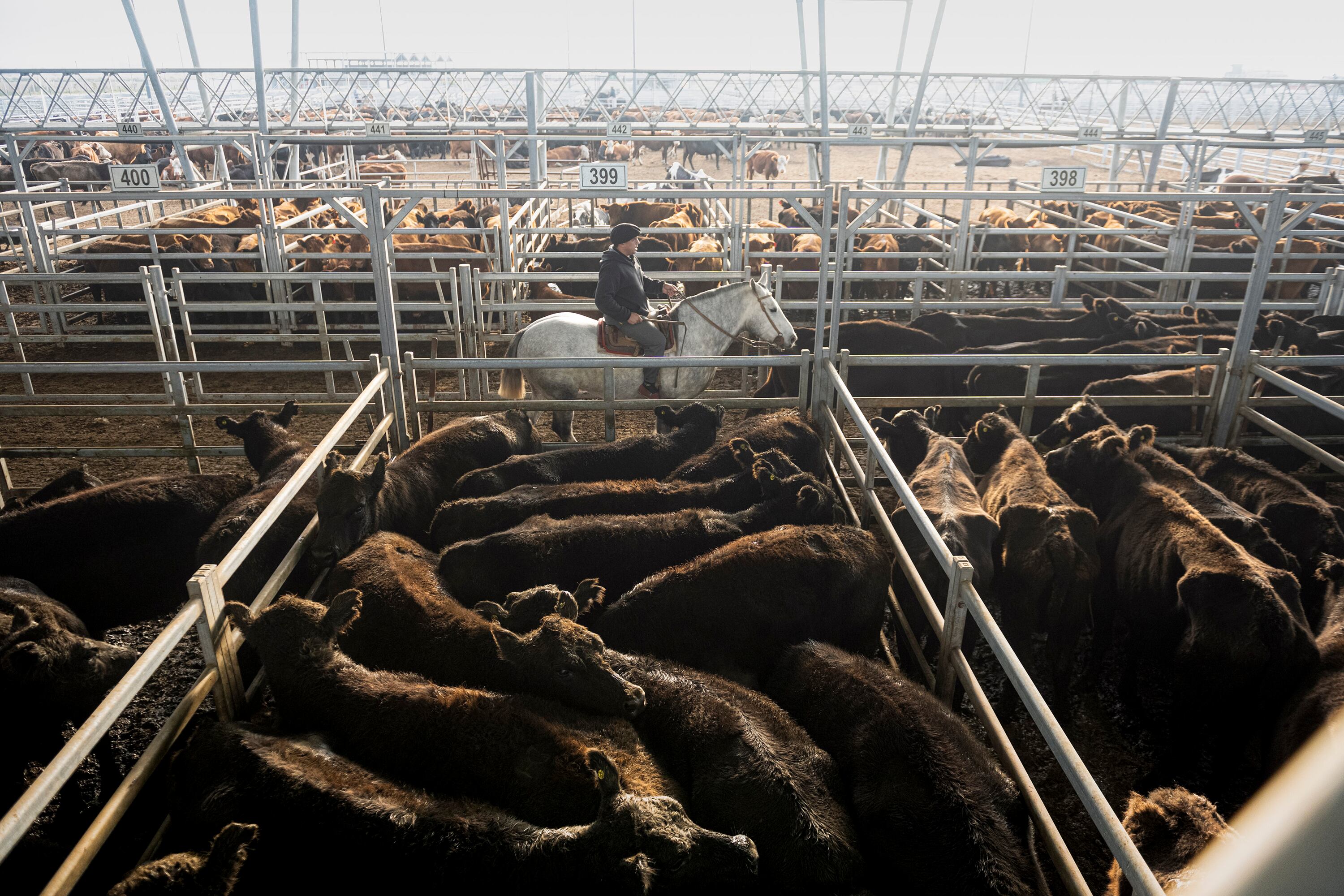 Los aumentos se esperaban para la primavera.