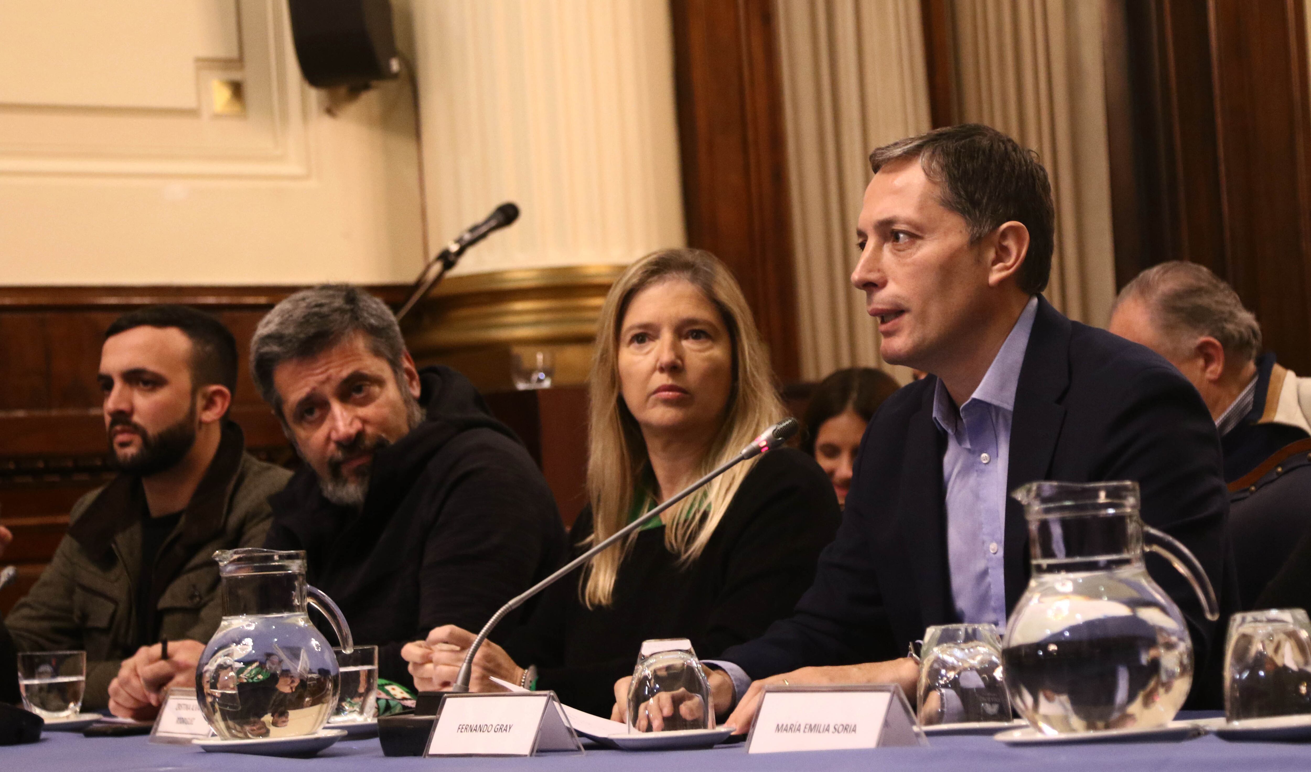 Grosso, Santa María, Alvarez Rodríguez y Gray, entre otros, participaron de una conferencia de prensa en el Congreso.