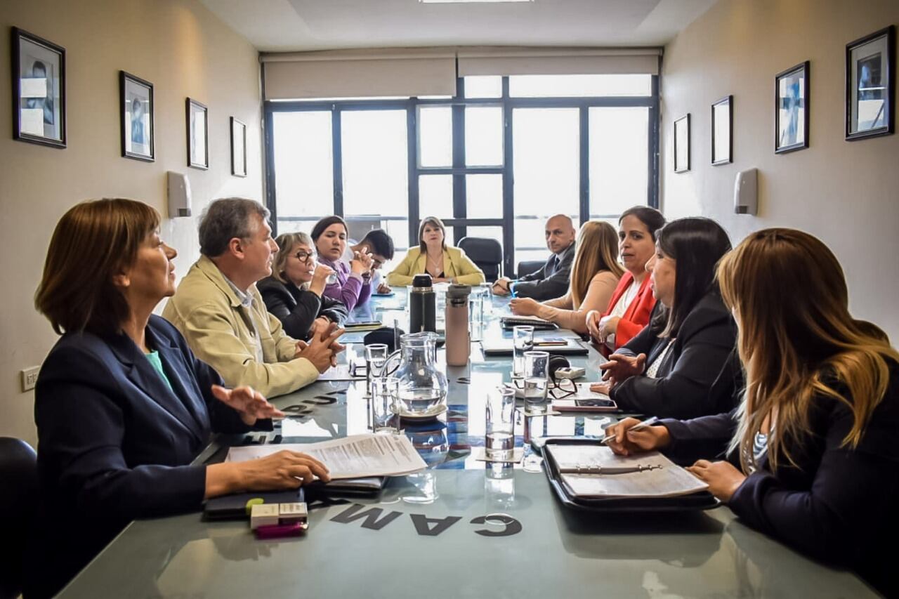 Comisión de Asuntos Constitucionales.