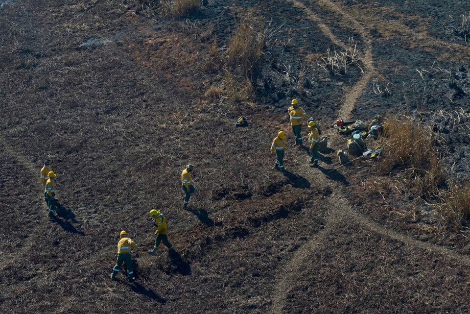 Brigadistas pelean palmo a palmo para detener los incendios.