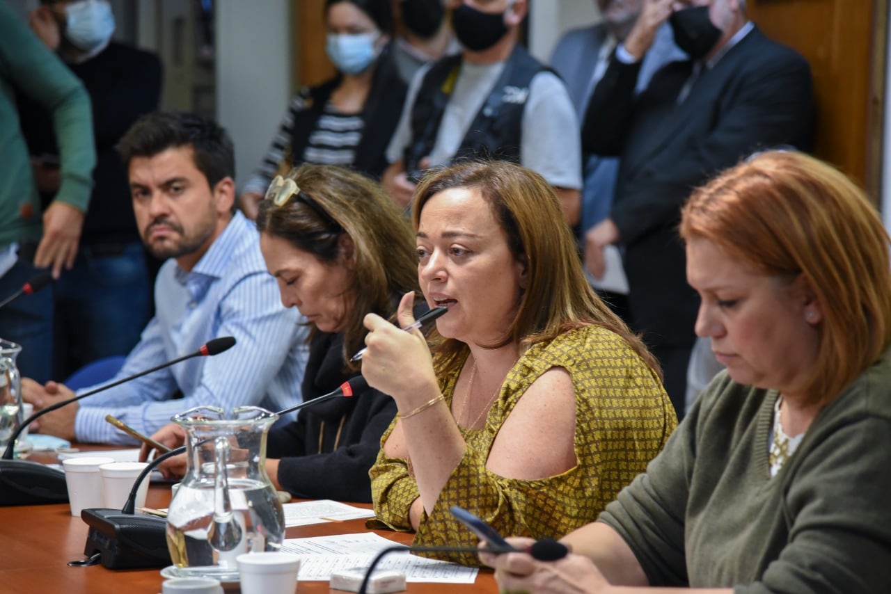 Cecilia Moreau presidió el encuentro en Diputados por la Ley de Alquileres