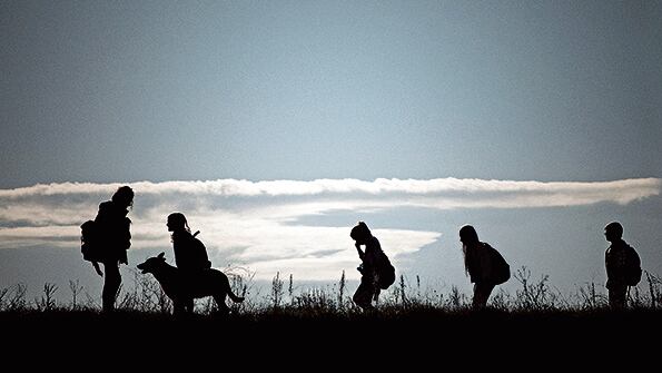 Una noche cualquiera, los adultos de un pueblo caen en un sueño profundo sin solución aparente.
