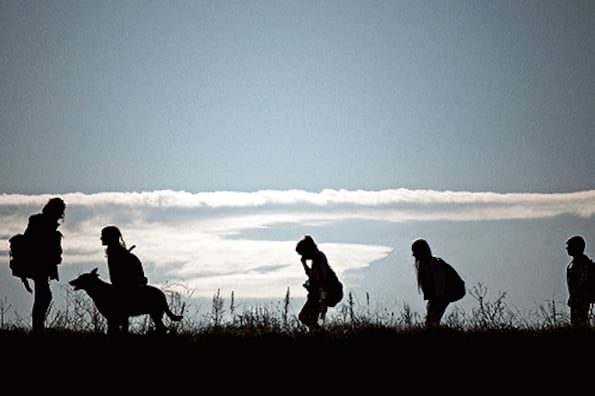 Una noche cualquiera, los adultos de un pueblo caen en un sueño profundo sin solución aparente.