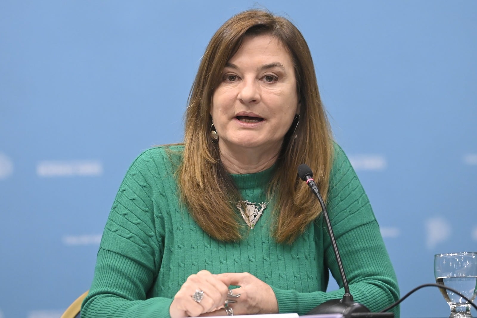 Estela Díaz, ministra de las Mujeres y Diversidad de la Provincia.