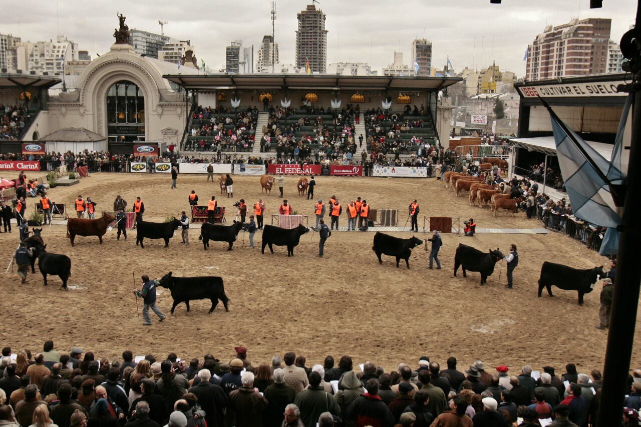 El 24 de septiembre ocurrirá una elección relevante en la Sociedad Rural, en un marco de desbarajuste de representatividad que vive hoy el campo.