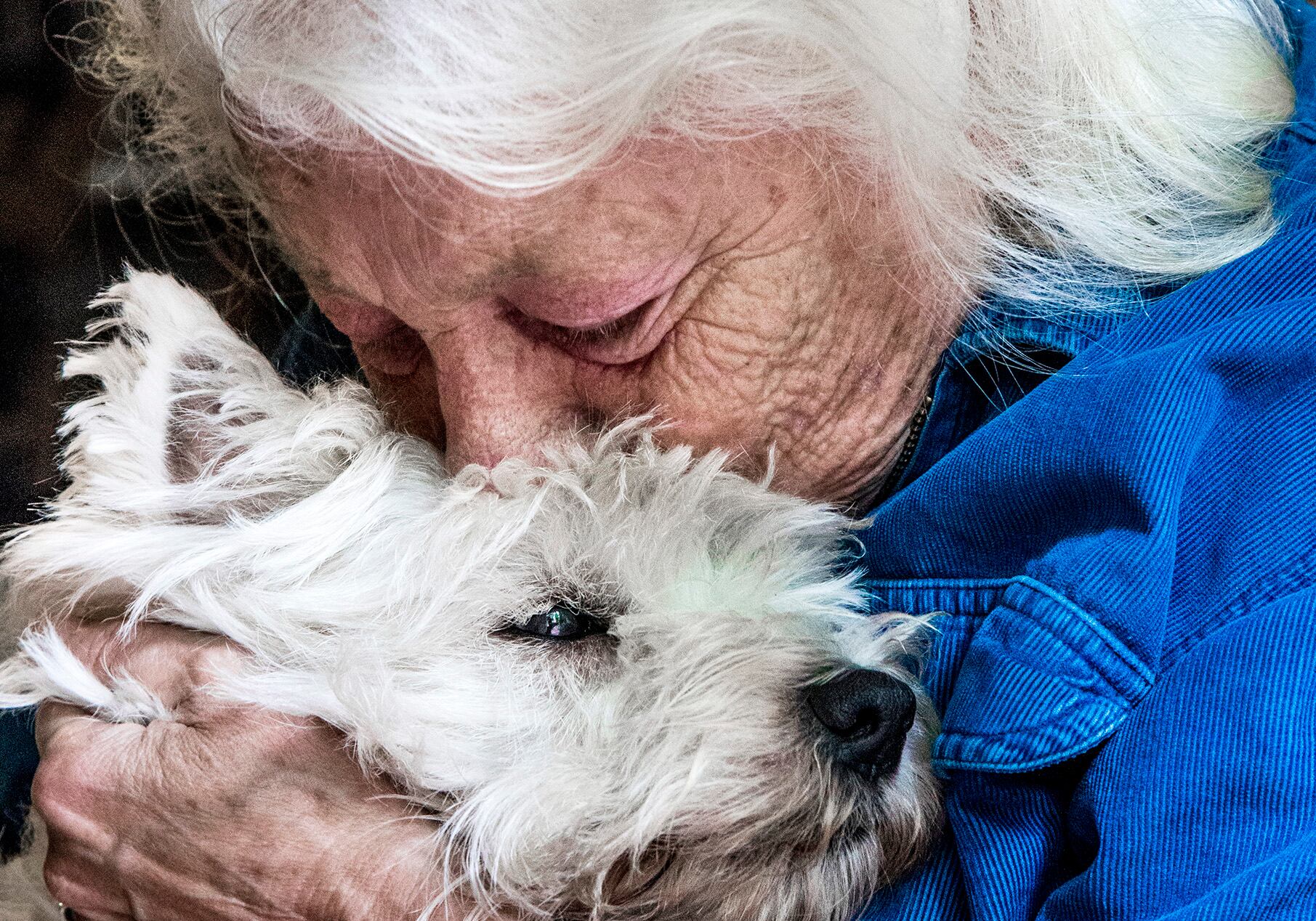 Bajo la luna reedita El jardín, publicado por primera vez en 1992