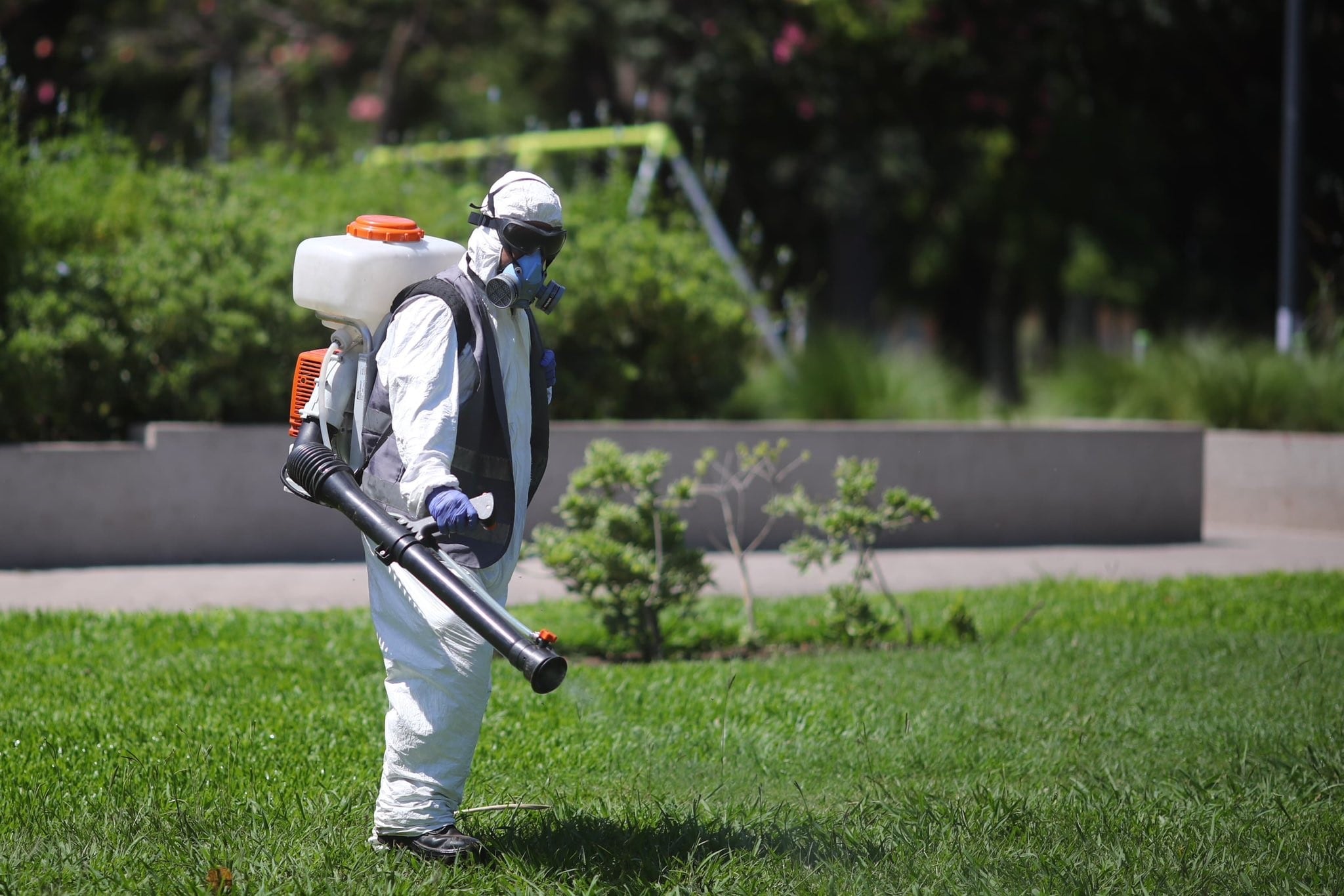 Invasión de mosquitos: qué pasa con las fumigaciones en parques y plazas
