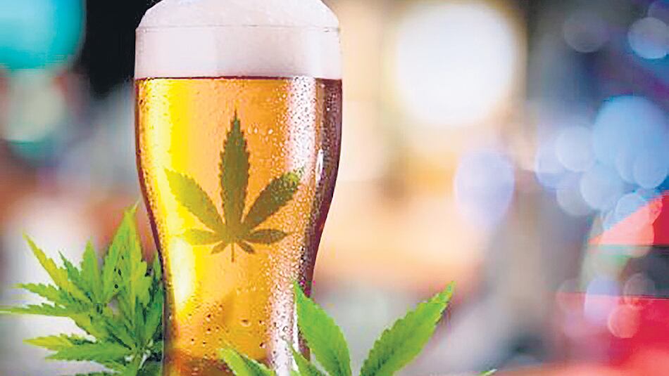 Desde el año próximo estará a la venta, en Canadá, la cerveza sin alcohol, con cannabis.