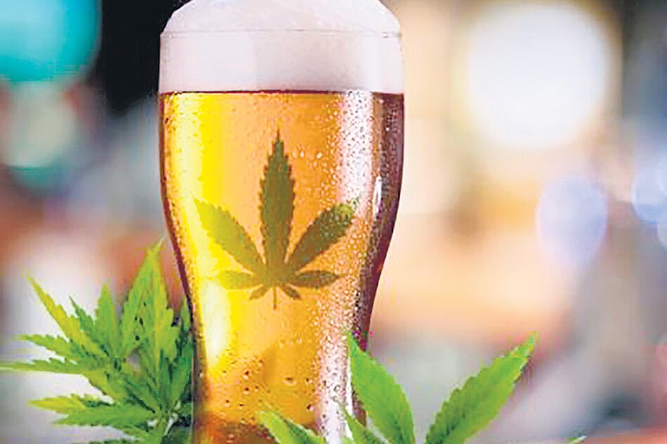 Desde el año próximo estará a la venta, en Canadá, la cerveza sin alcohol, con cannabis.