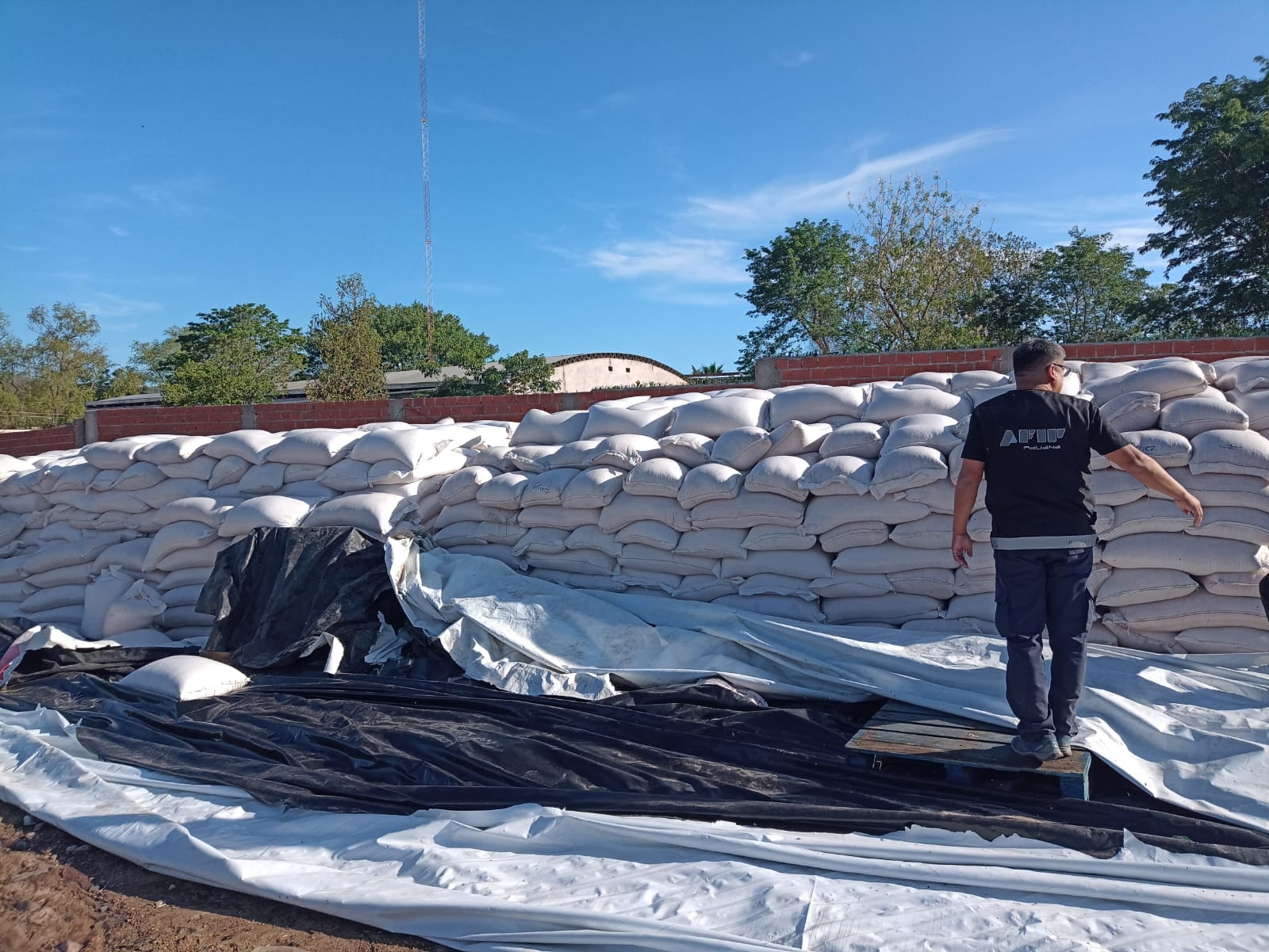 El allanamiento fue en Salvador Mazza.