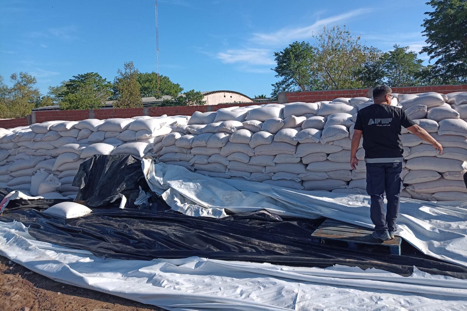 El allanamiento fue en Salvador Mazza.