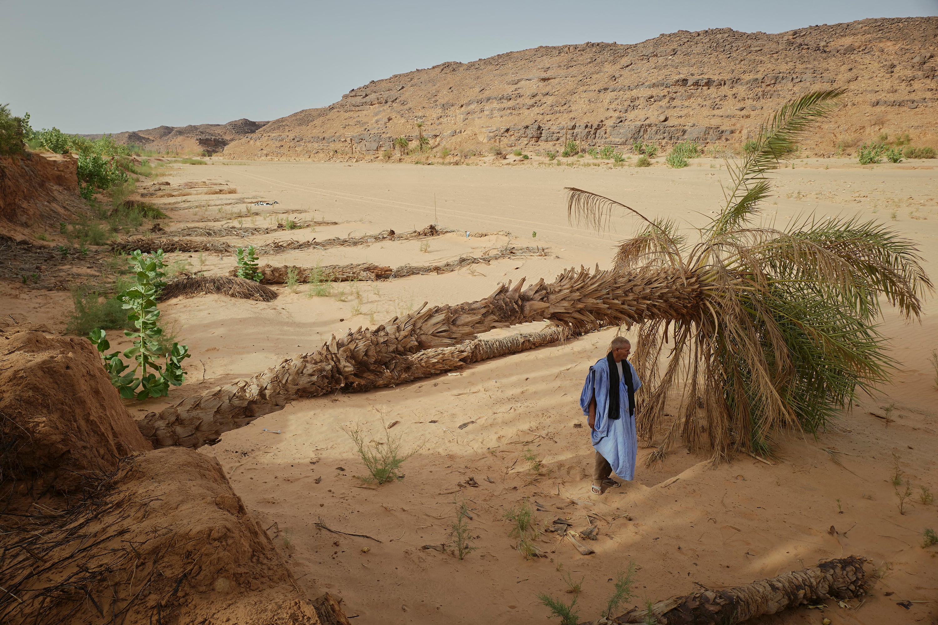 Un oasis devastado por el cambio climático