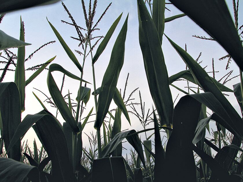 El informe detalla vínculos entre funcionarios y empresas.