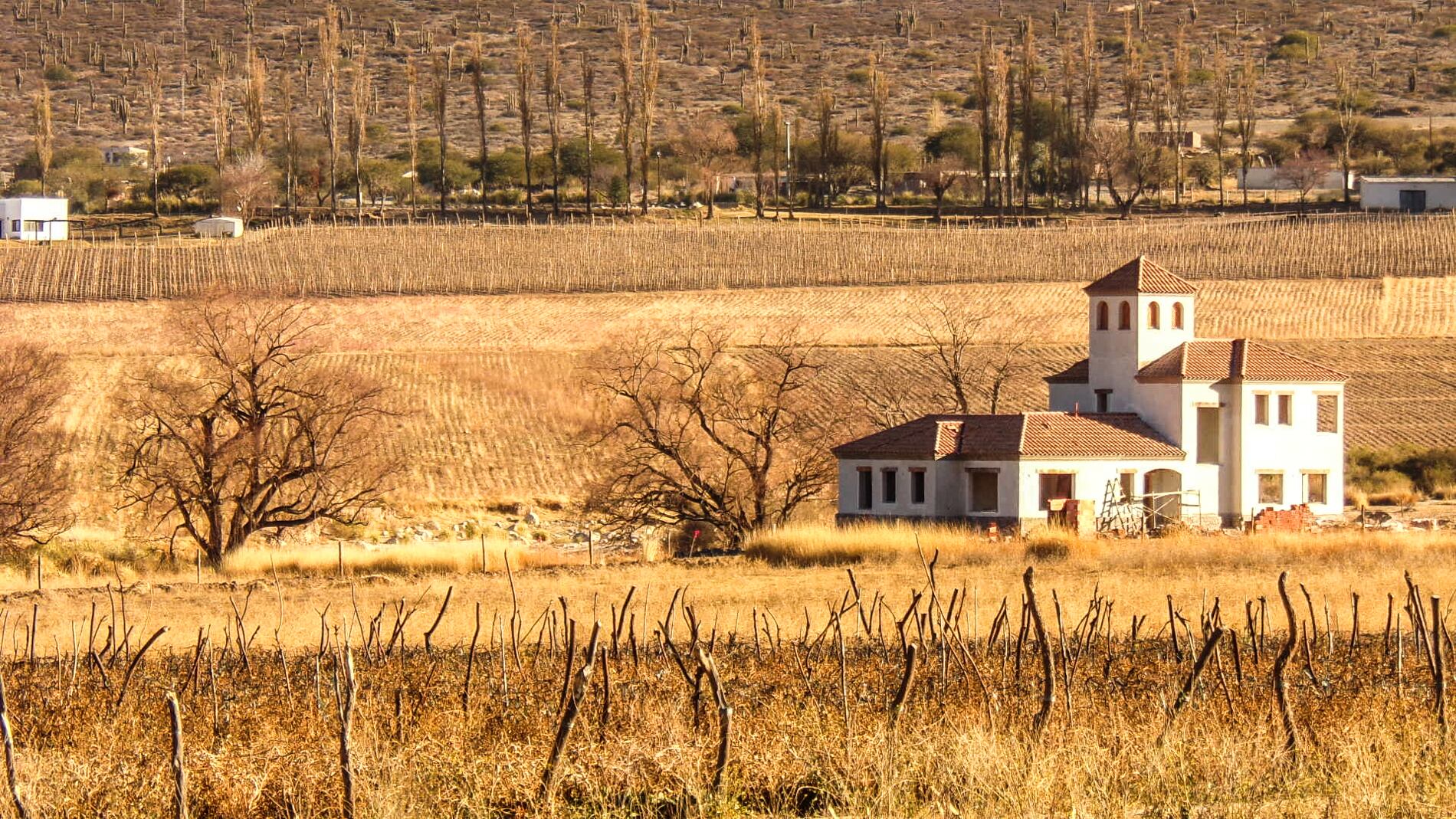 Vista desde Fideicomiso Las Carreras hacia La Aguada, Cachi Adentro