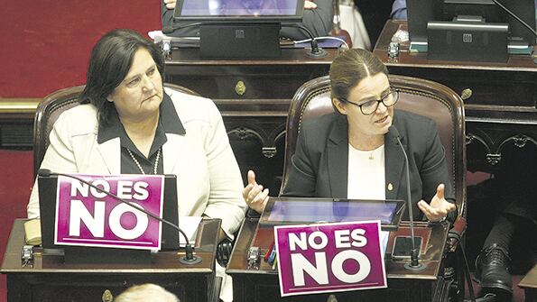 Muchxs senadorxs mostraron uno de los carteles de las campañas feministas.