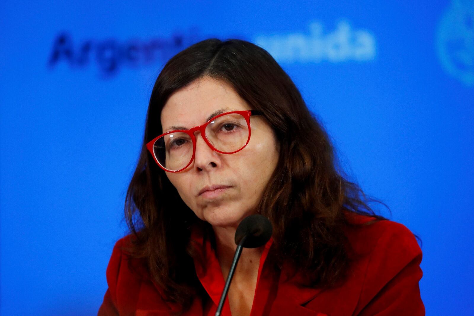 Silvina Batakis, titular del BNA. "Esa deuda fue una estafa enorme contra el banco".