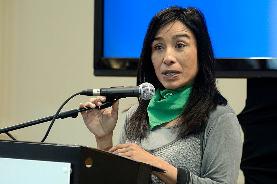 "El Estado debe garantizar políticas de abordaje de las violencias cotidianas", dijo Sosa.