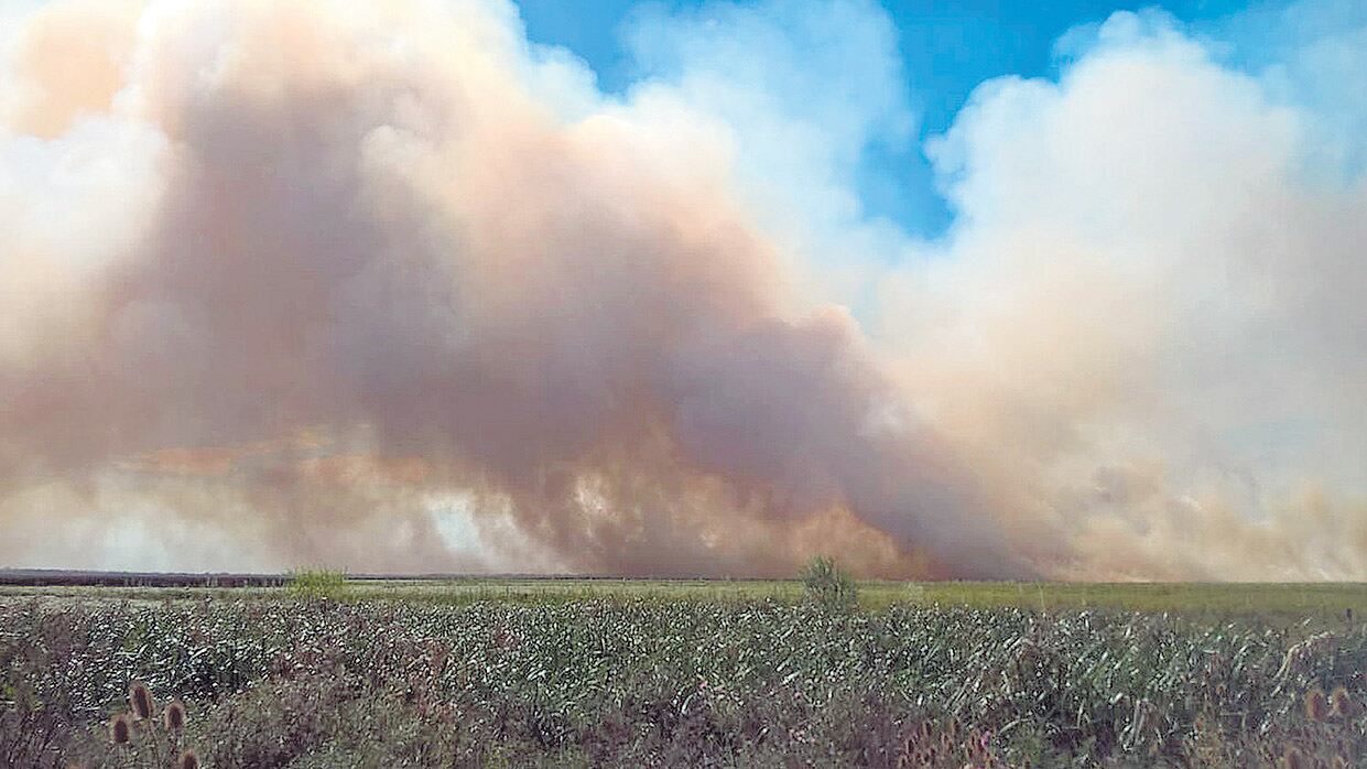 La reserva natural de Punta Lara en llamas desde el miércoles.