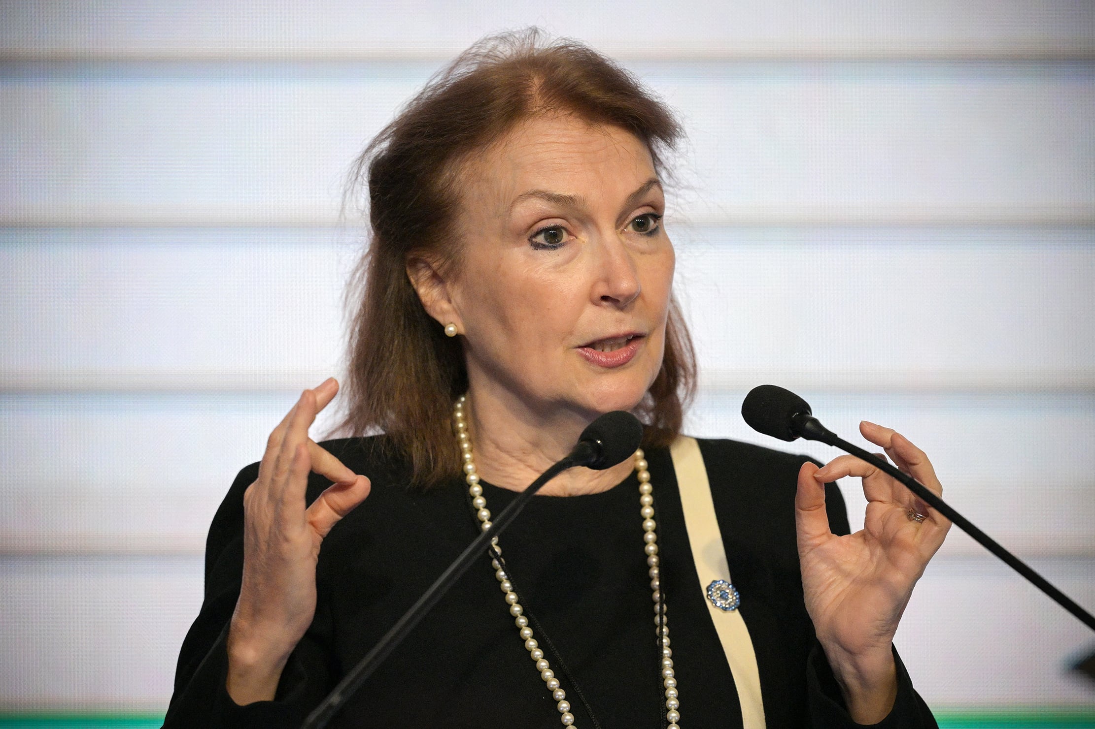 El voto en contra del bloqueo a Cuba fue la última decisión que tomó Mondino en la Cancillería.