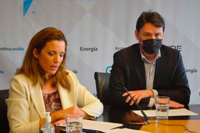 María Soledad Manin y Federico Basualdo durante la última audiencia pública de electricidad.