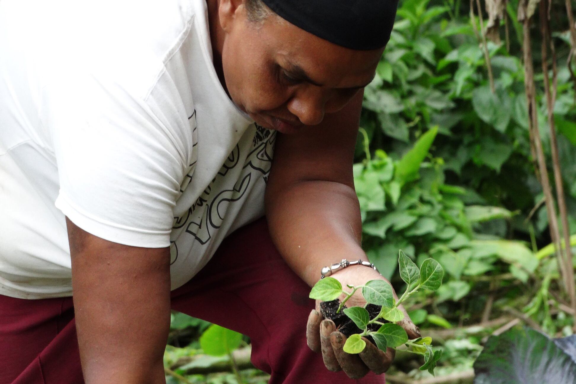 Productoras afrodescendientes quilombolas de SOF Sempreviva Organización Feminista, Brasil