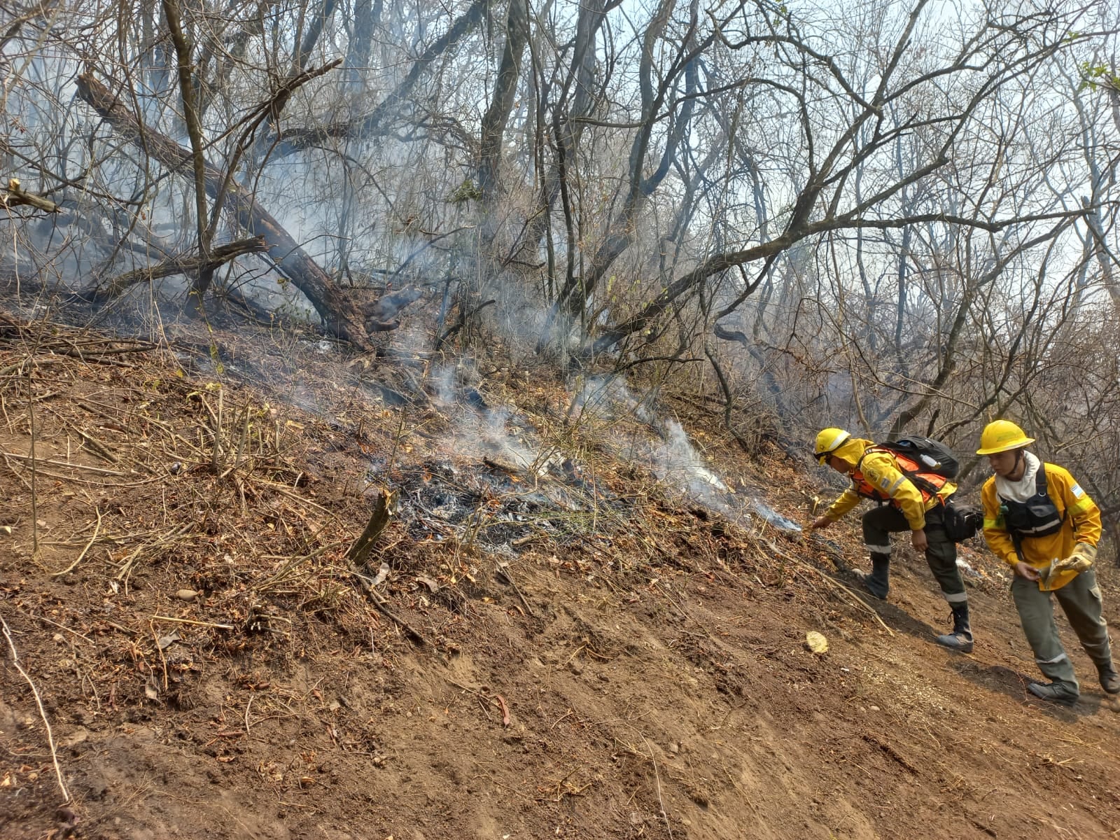 Fuego en las serranías de la Comunidad Kolla Tinkunaku. 