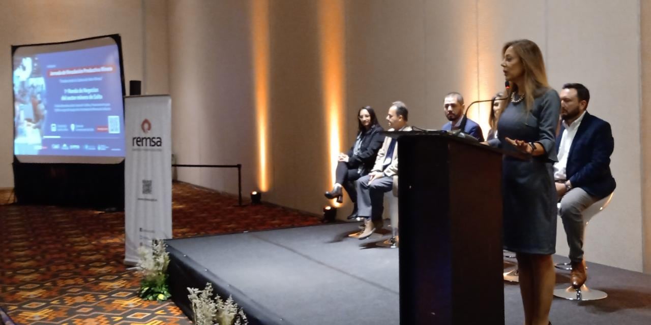 La Secretaria de Minería de Salta, Flavia Royón, abrió la jornada