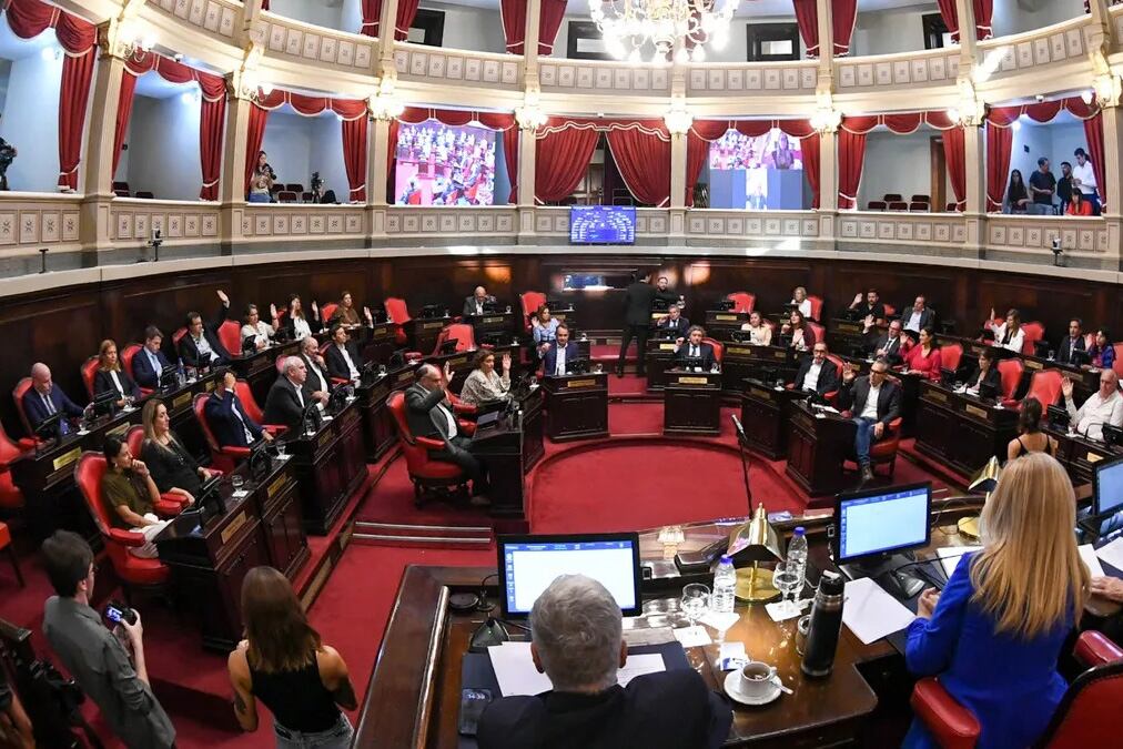 El Senado provincial sesionará por las PASO.