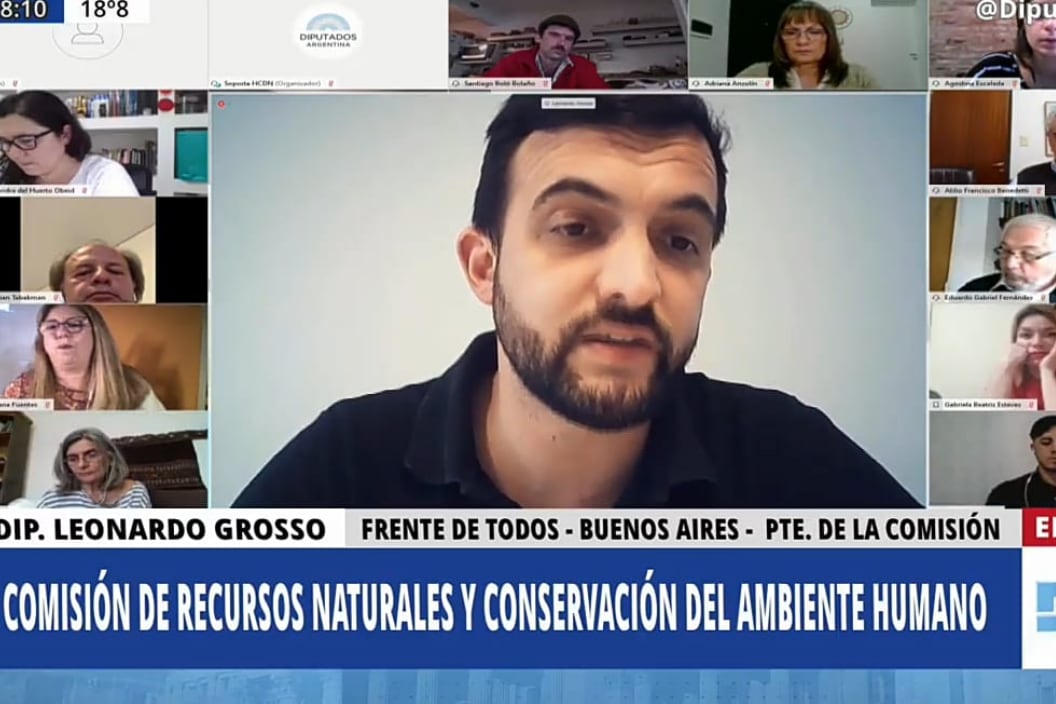 Leonardo Grosso, presidente de la Comisión de Recursos Naturales.
