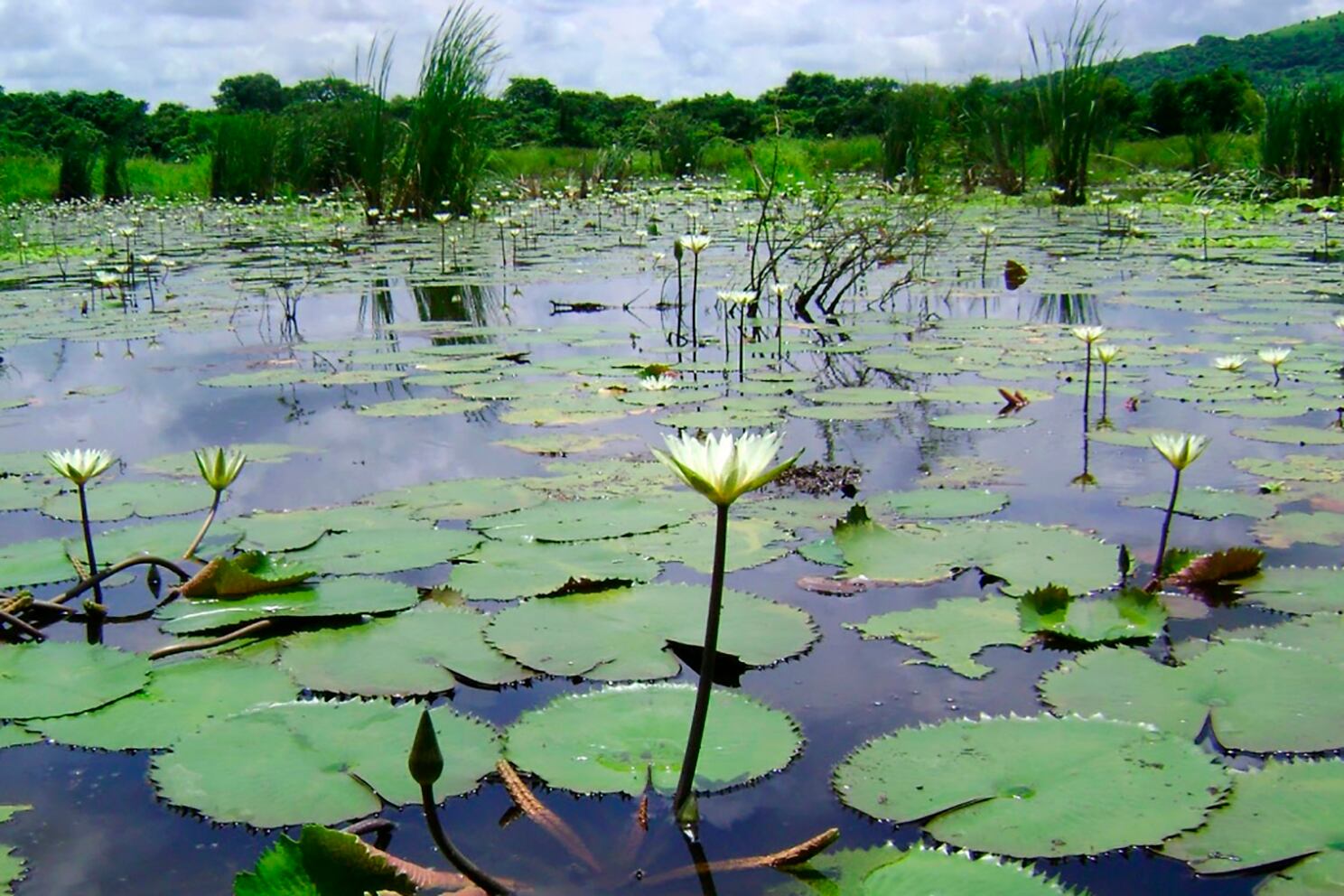 Argentina es uno de los pocos países de ingresos medios que es acreedor ambiental.