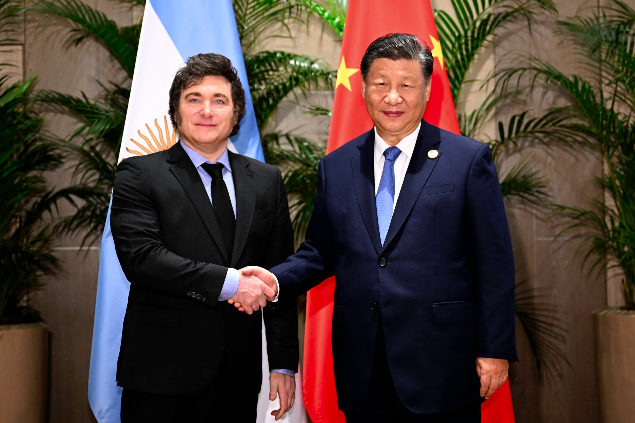 Xi Jinping, Milei-14/12/2024