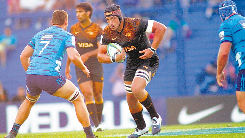 Jaguares en acción.