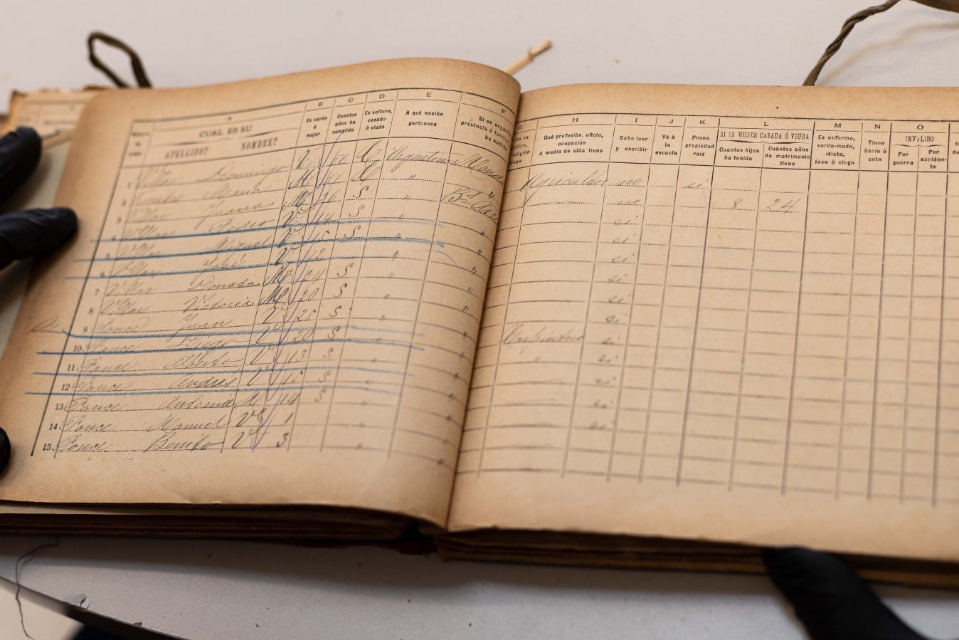 Datos curiosos del 1er censo de 1869.