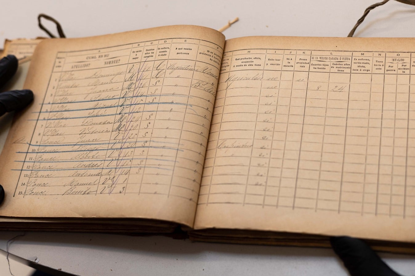 Datos curiosos del 1er censo de 1869.