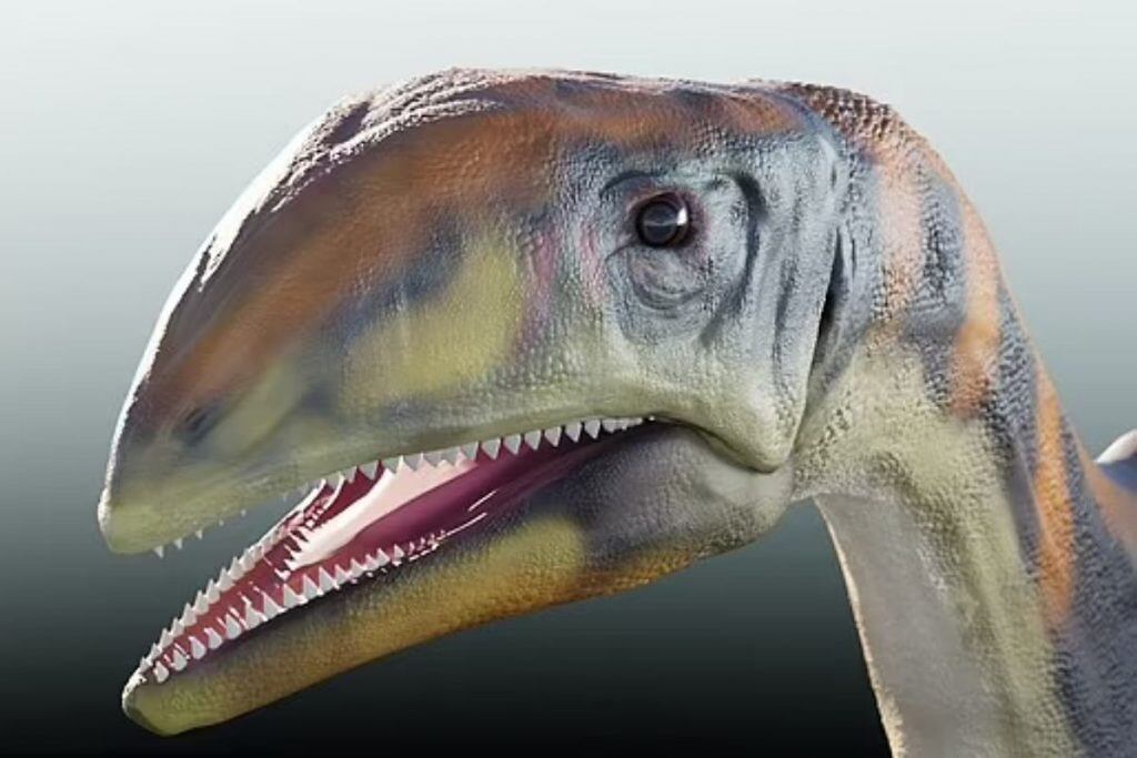 El Issi saaneq o "Hueso frío" fue un herbívoro de tamaño mediano, con cuello largo y es predecesor de los saurópodos, el animal más grande en haber pisado la tierra.