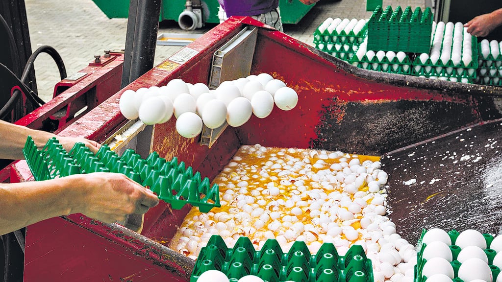 Los productos contaminados provienen de granjas de Holanda.