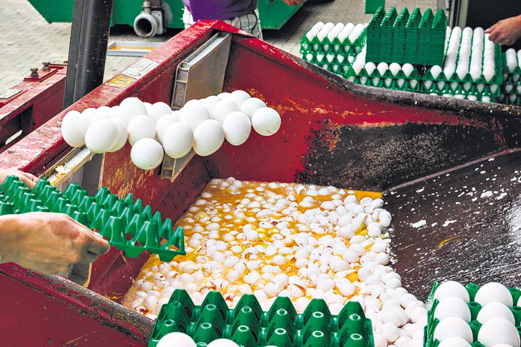 Los productos contaminados provienen de granjas de Holanda.